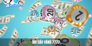 avt soi cau vang 7777