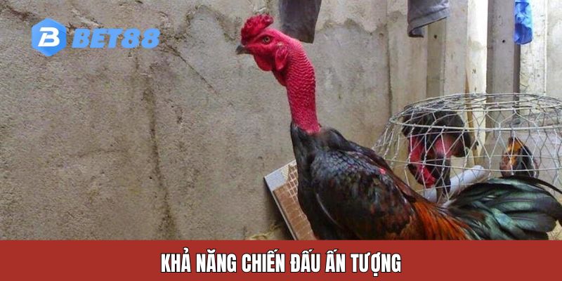 Khả năng chiến đấu ấn tượng