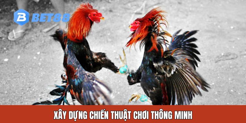 Xây dựng chiến thuật chơi thông minh